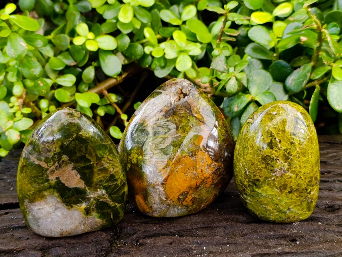 Polished Green Opal Standing Free Forms x 3 From Madagascar - Toprock Gemstones and Minerals 