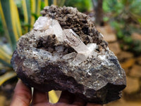 Natural Quartz Matrix Specimens x 2 From Brandberg, Namibia