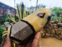 Polished Fossilized Septerye Points x 2 From Mahajanga, Madagascar - Toprock Gemstones and Minerals 