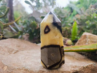 Polished Fossilized Septerye Points x 2 From Mahajanga, Madagascar - Toprock Gemstones and Minerals 