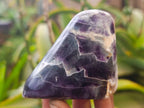 Polished Watermelon Fluorite Free Forms x 8 From Uis, Namibia - Toprock Gemstones and Minerals 