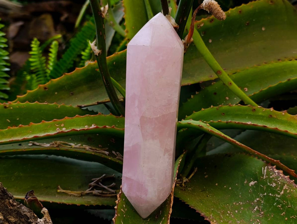 Polished Double Terminated Rose Quartz Points x 2 Madagascar - Toprock Gemstones and Minerals 