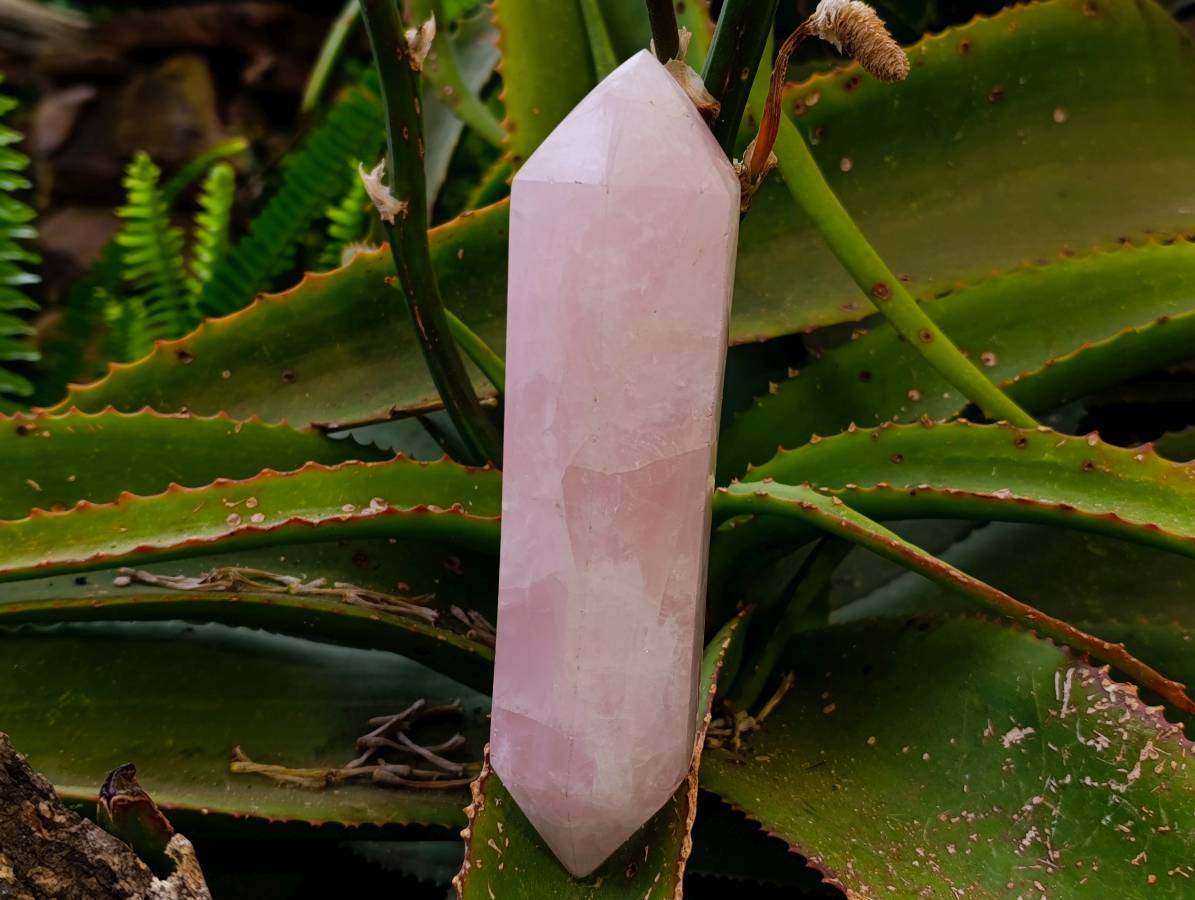 Polished Double Terminated Rose Quartz Points x 2 Madagascar - Toprock Gemstones and Minerals 