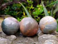 Polished Polychrome Jasper Mushrooms x 6 From Madagascar