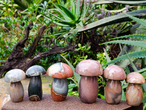 Polished Polychrome Jasper Mushrooms x 6 From Madagascar