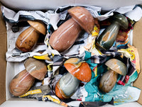 Polished Polychrome Jasper Mushrooms x 6 From Madagascar