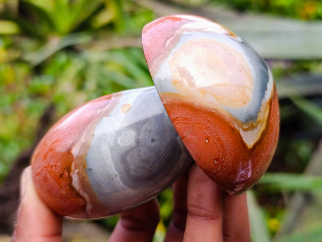 Polished Polychrome Jasper Mushrooms x 6 From Madagascar - Toprock Gemstones and Minerals 