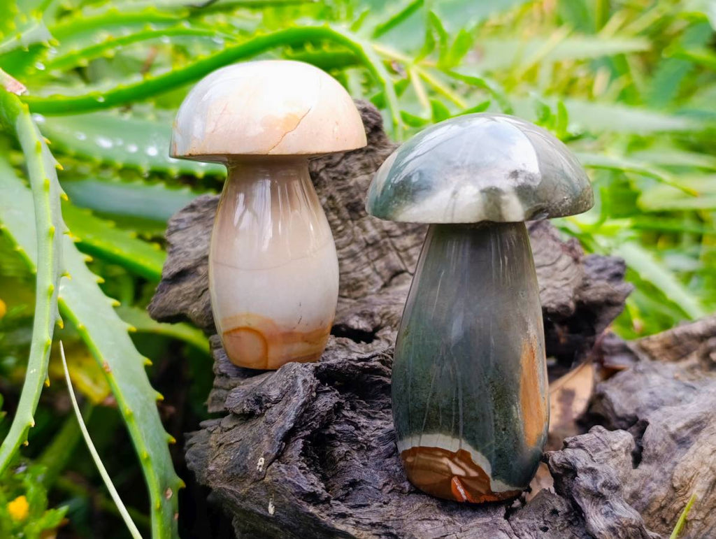 Polished Polychrome Jasper Mushrooms x 6 From Madagascar - Toprock Gemstones and Minerals 