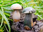 Polished Polychrome Jasper Mushrooms x 6 From Madagascar - Toprock Gemstones and Minerals 
