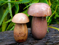 Polished Polychrome Jasper Mushrooms x 6 From Madagascar