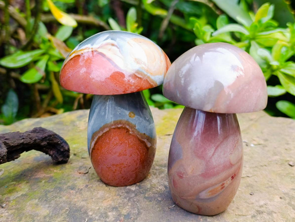Polished Polychrome Jasper Mushrooms x 6 From Madagascar - Toprock Gemstones and Minerals 