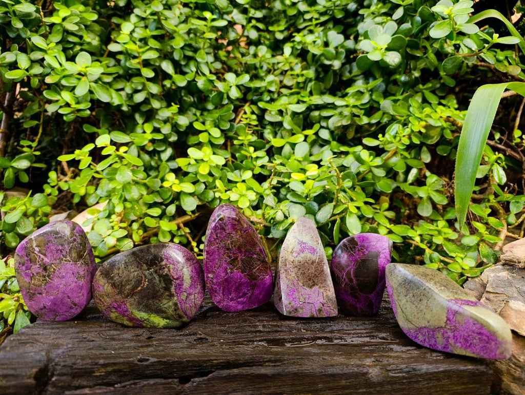 Polished Stichtite Free Forms x 6 From Barberton, South Africa - Toprock Gemstones and Minerals 