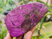 Polished Stichtite Free Forms x 6 From Barberton, South Africa