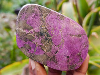 Polished Stichtite Free Forms x 6 From Barberton, South Africa