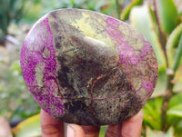 Polished Stichtite Free Forms x 6 From Barberton, South Africa