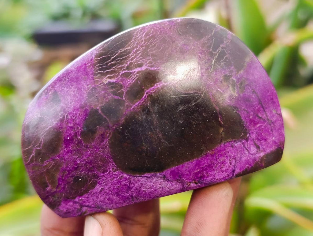 Polished Stichtite Free Forms x 6 From Barberton, South Africa - Toprock Gemstones and Minerals 