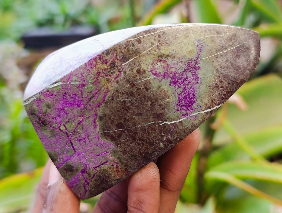 Polished Stichtite Free Forms x 6 From Barberton, South Africa - Toprock Gemstones and Minerals 