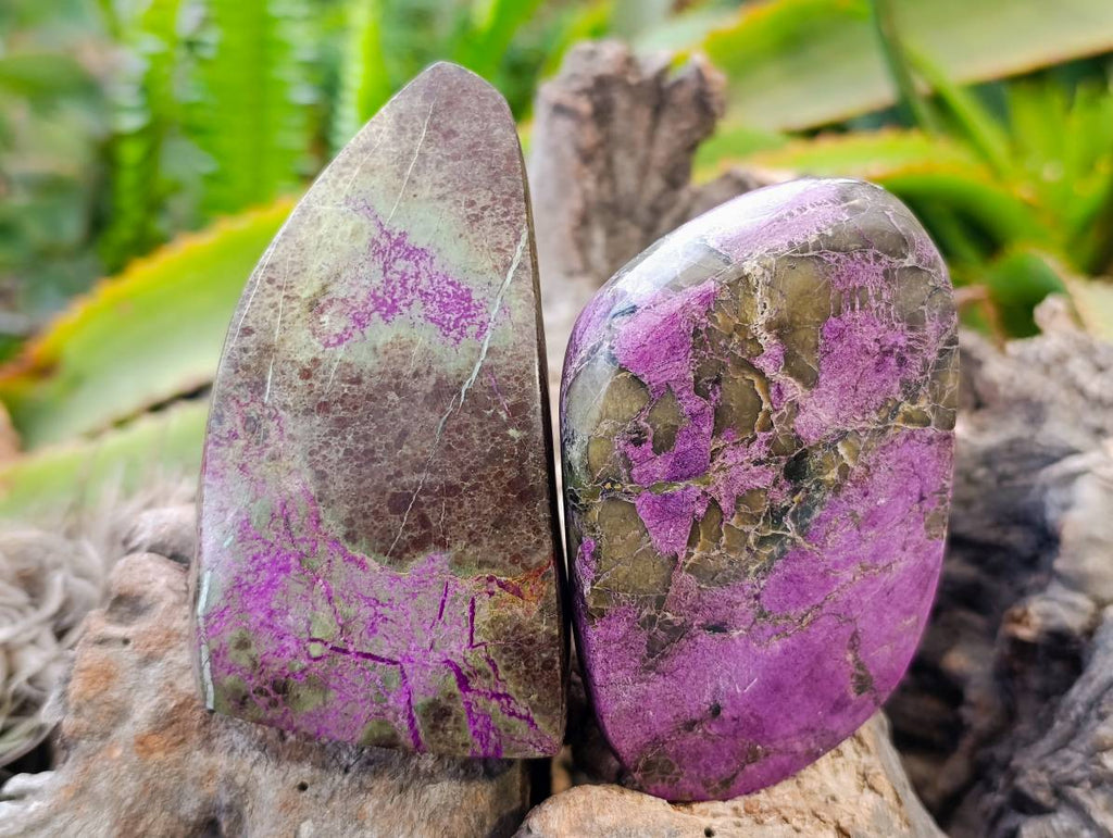 Polished Stichtite Free Forms x 6 From Barberton, South Africa - Toprock Gemstones and Minerals 