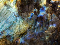 Polished Labradorite Standing Free Forms x 2 From Tulear, Madagascar - Toprock Gemstones and Minerals 