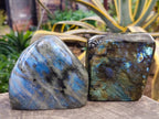 Polished Labradorite Standing Free Forms x 2 From Tulear, Madagascar - Toprock Gemstones and Minerals 