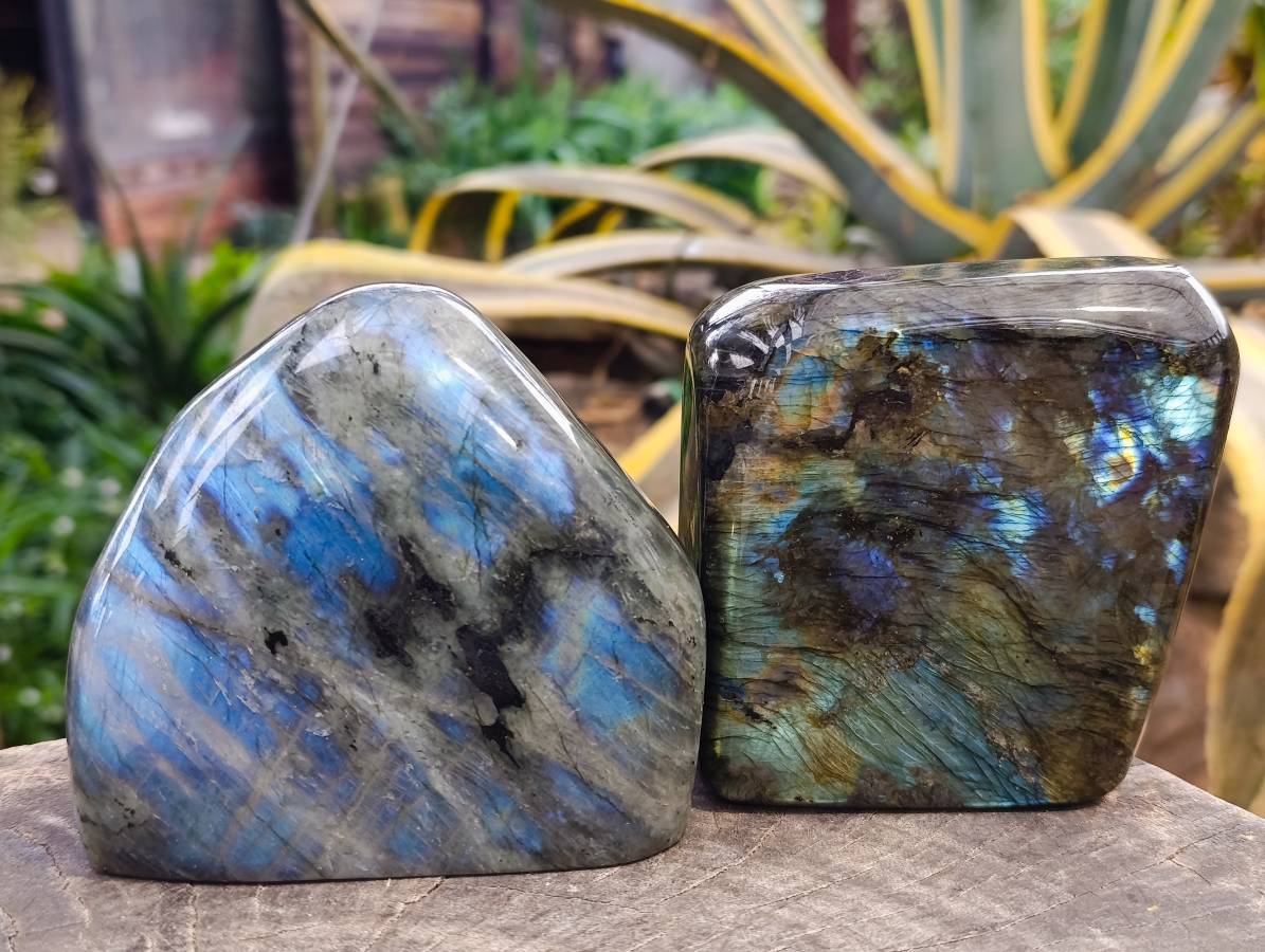Polished Labradorite Standing Free Forms x 2 From Tulear, Madagascar - Toprock Gemstones and Minerals 