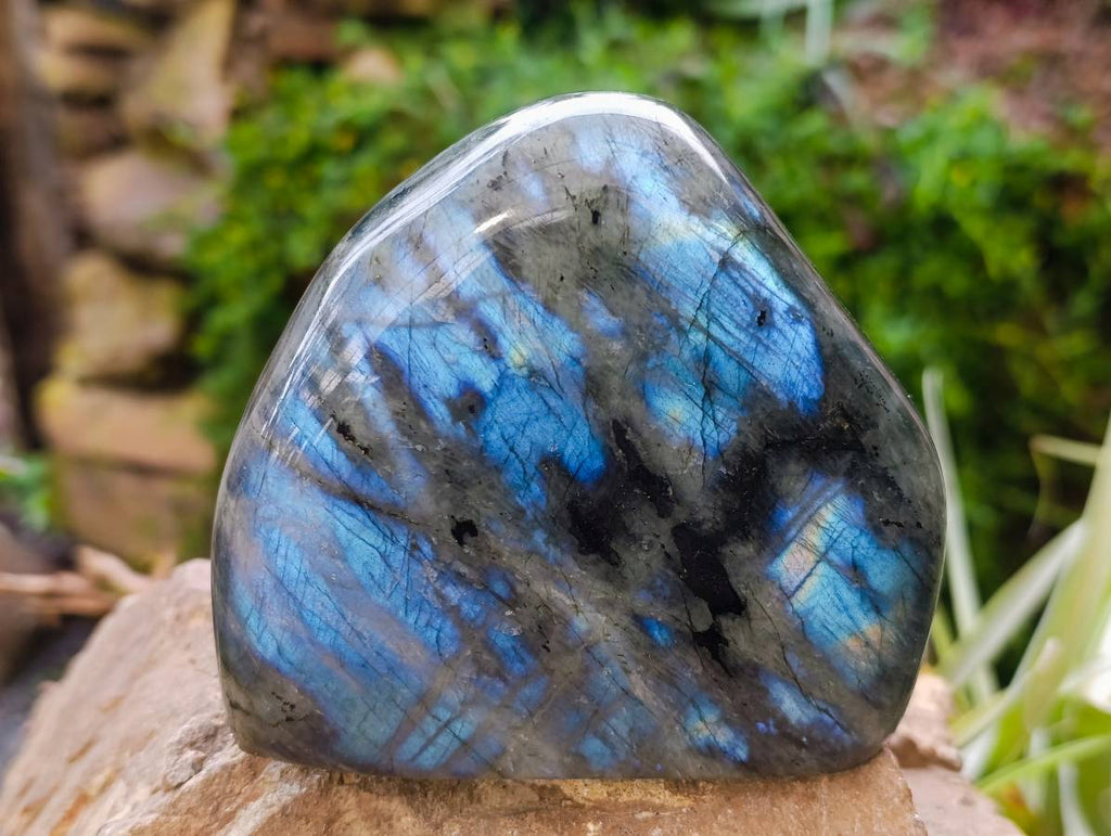 Polished Labradorite Standing Free Forms x 2 From Tulear, Madagascar - Toprock Gemstones and Minerals 