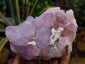 Natural Amethyst Spirit Quartz Clusters x 2 From Boekenhouthoek, South Africa - Toprock Gemstones and Minerals 