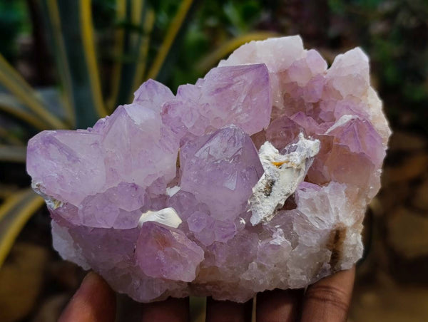 Natural Amethyst Spirit Quartz Clusters x 2 From Boekenhouthoek, South Africa