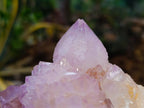 Natural Amethyst Spirit Quartz Clusters x 2 From Boekenhouthoek, South Africa - Toprock Gemstones and Minerals 