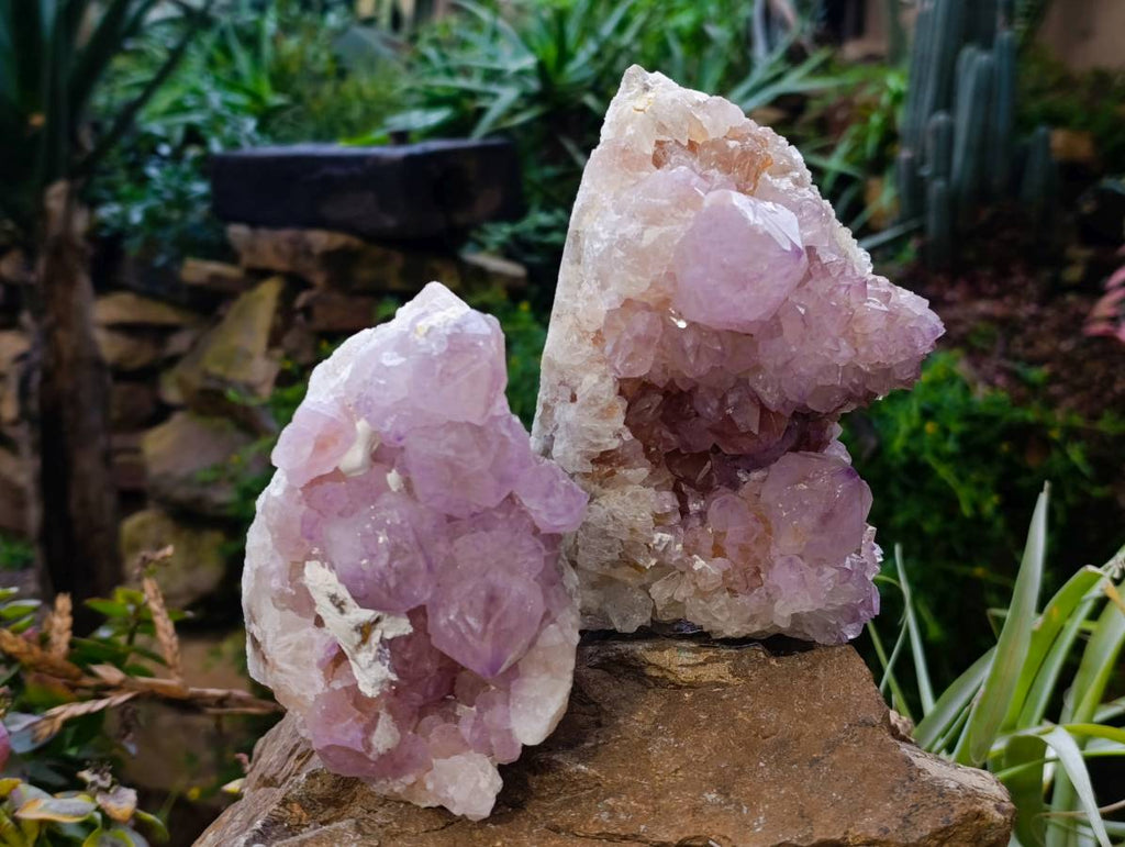 Natural Amethyst Spirit Quartz Clusters x 2 From Boekenhouthoek, South Africa - Toprock Gemstones and Minerals 
