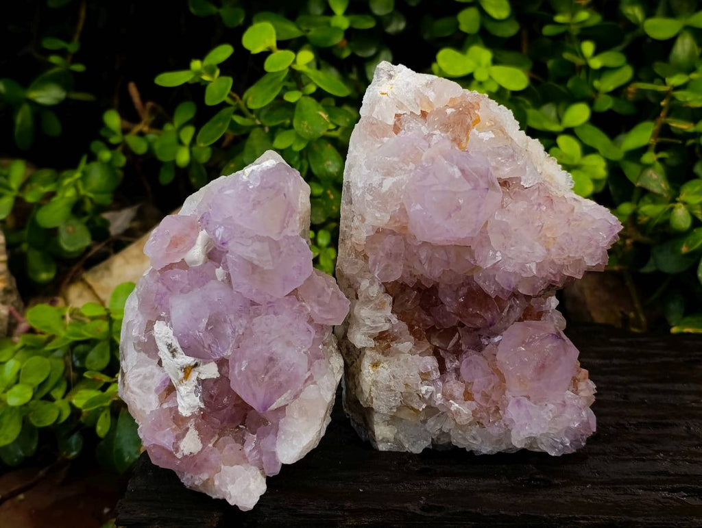 Natural Amethyst Spirit Quartz Clusters x 2 From Boekenhouthoek, South Africa - Toprock Gemstones and Minerals 