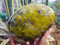 Polished Green Opal Standing Free Form x 1 From Betroka, Madagascar