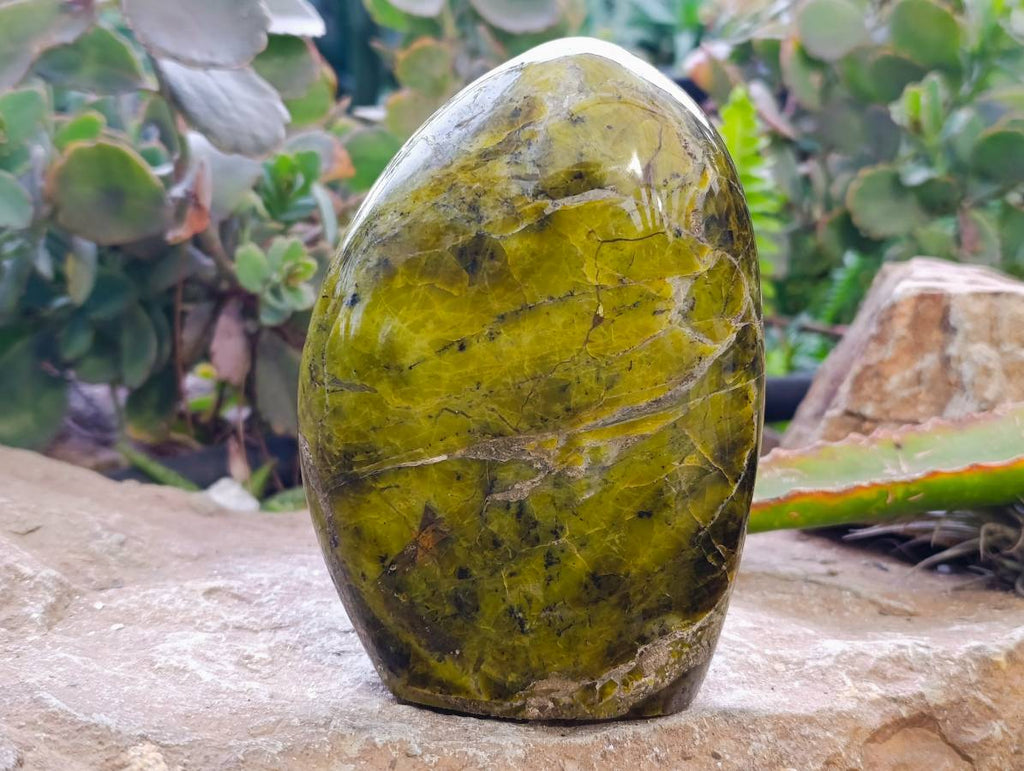 Polished Green Opal Standing Free Form x 1 From Betroka, Madagascar - Toprock Gemstones and Minerals 