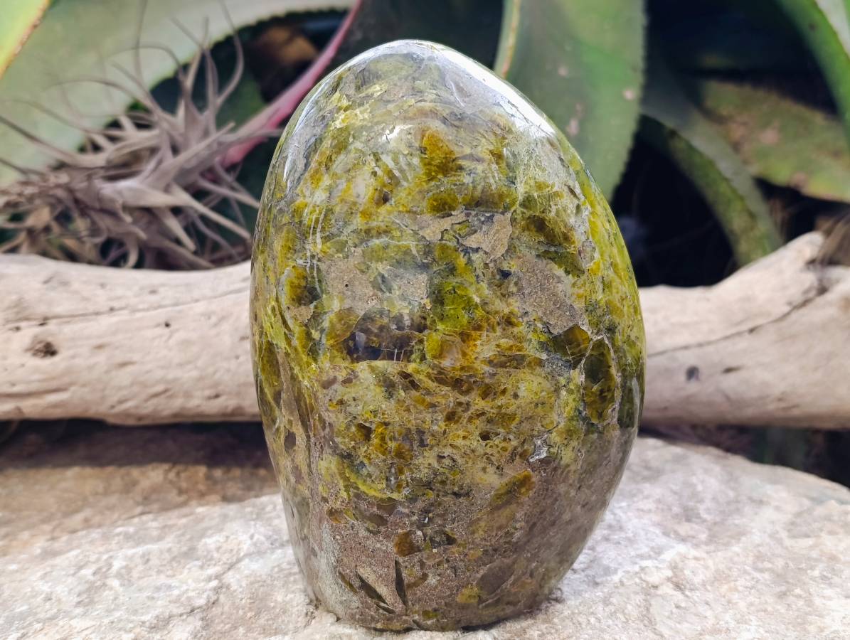 Polished Green Opal Standing Free Form x 1 From Betroka, Madagascar - Toprock Gemstones and Minerals 