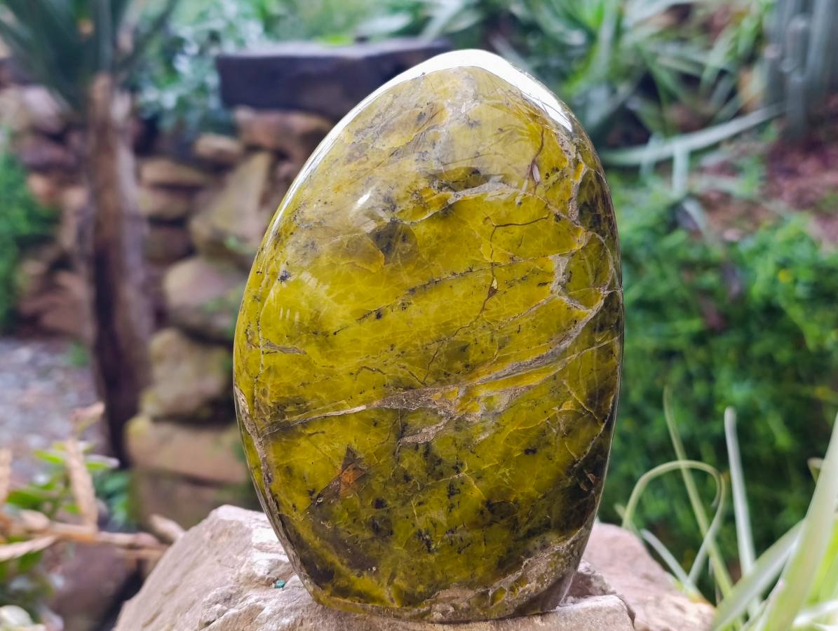 Polished Green Opal Standing Free Form x 1 From Betroka, Madagascar - Toprock Gemstones and Minerals 