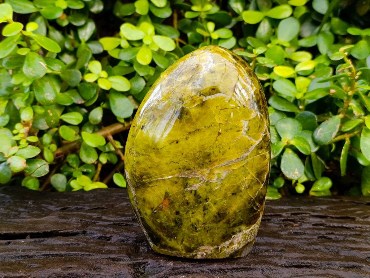 Polished Green Opal Standing Free Form x 1 From Betroka, Madagascar - Toprock Gemstones and Minerals 