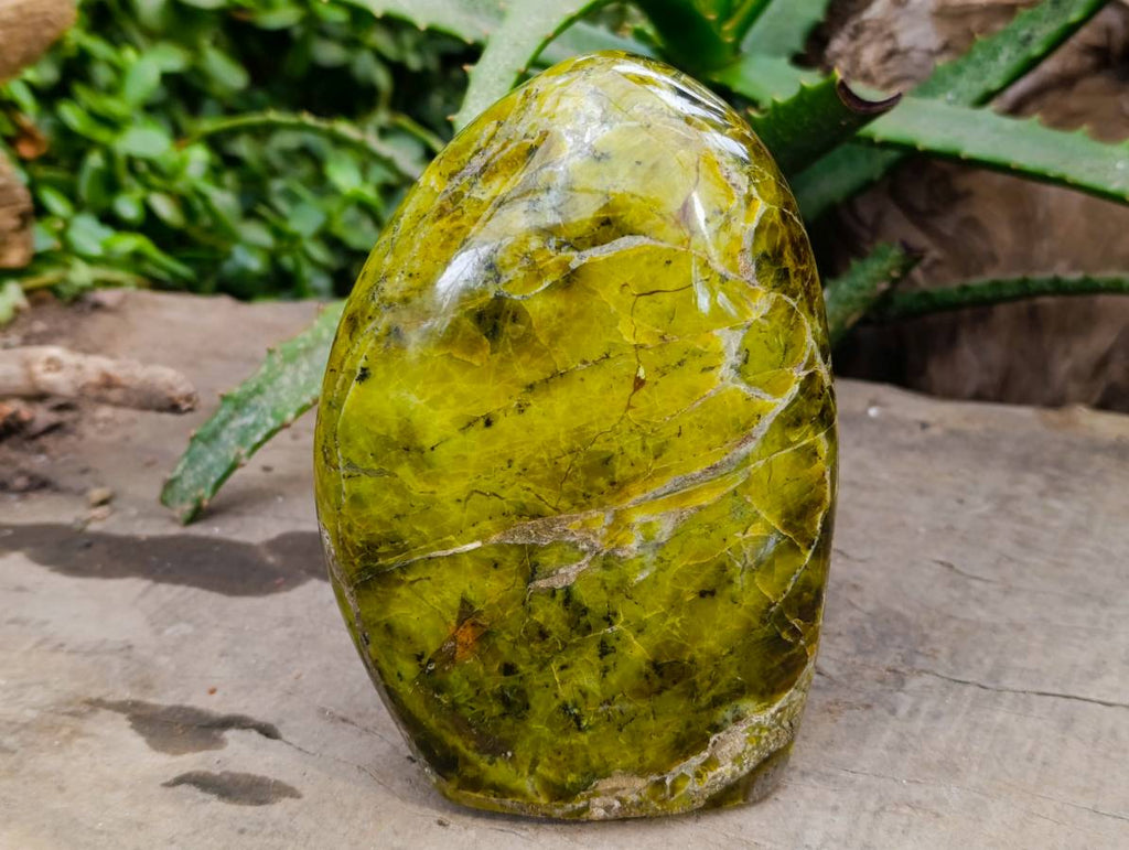 Polished Green Opal Standing Free Form x 1 From Betroka, Madagascar - Toprock Gemstones and Minerals 