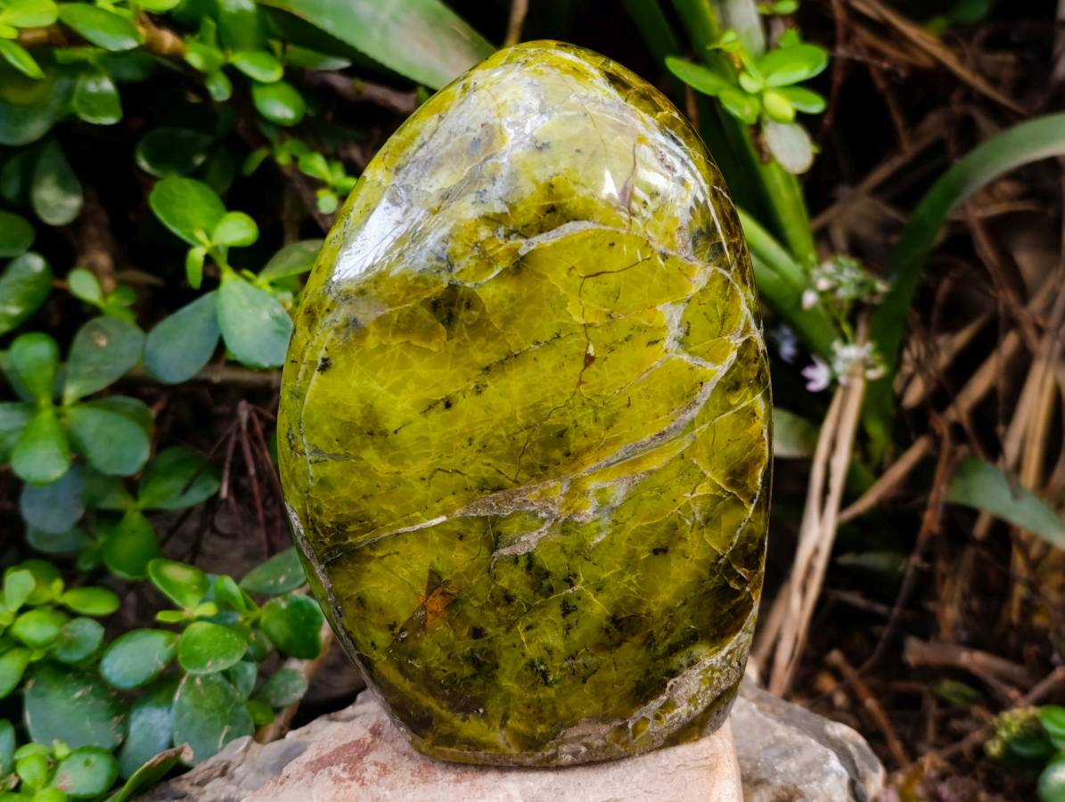 Polished Green Opal Standing Free Form x 1 From Betroka, Madagascar - Toprock Gemstones and Minerals 