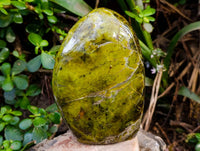 Polished Green Opal Standing Free Form x 1 From Betroka, Madagascar