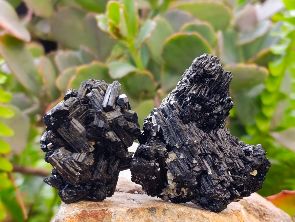 Natural Schorl Black Tourmaline Specimens x 12 From Erongo, Namibia - Toprock Gemstones and Minerals 