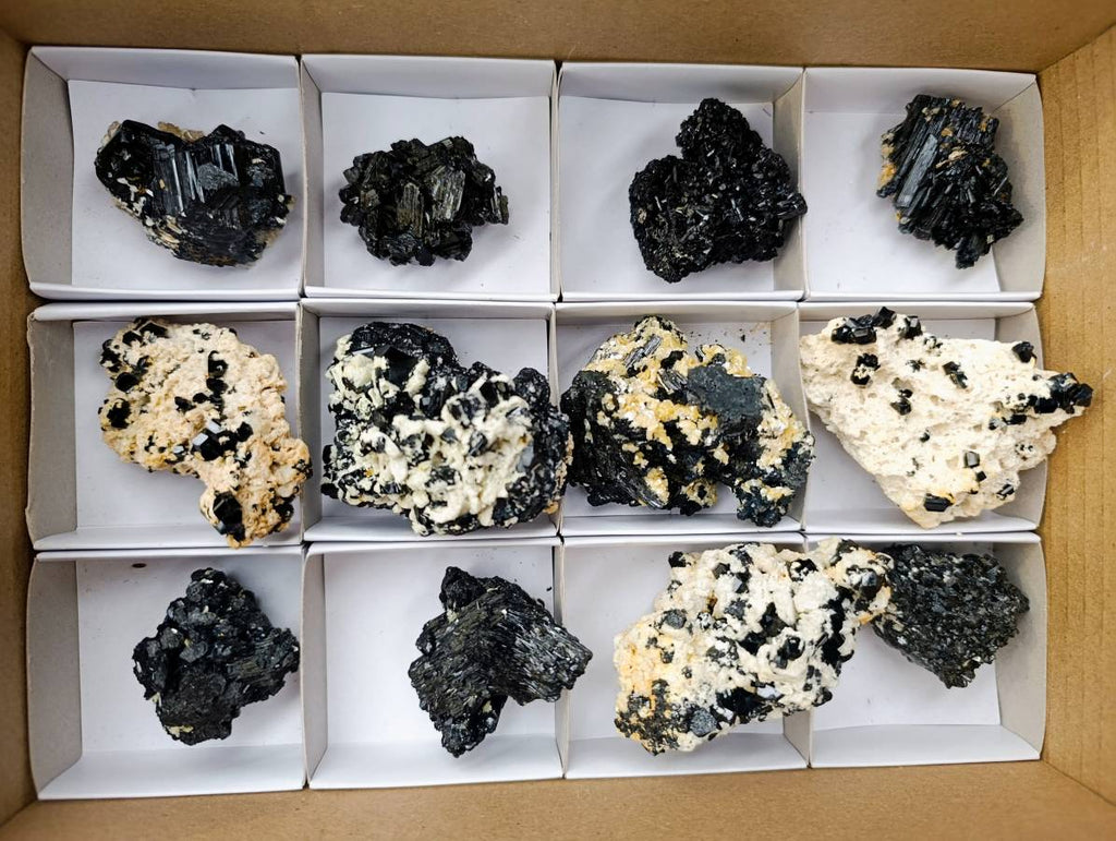Natural Schorl Black Tourmaline Specimens x 12 From Erongo, Namibia - Toprock Gemstones and Minerals 