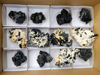 Natural Schorl Black Tourmaline Specimens x 12 From Erongo, Namibia - Toprock Gemstones and Minerals 