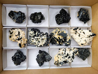 Natural Schorl Black Tourmaline Specimens x 12 From Erongo, Namibia