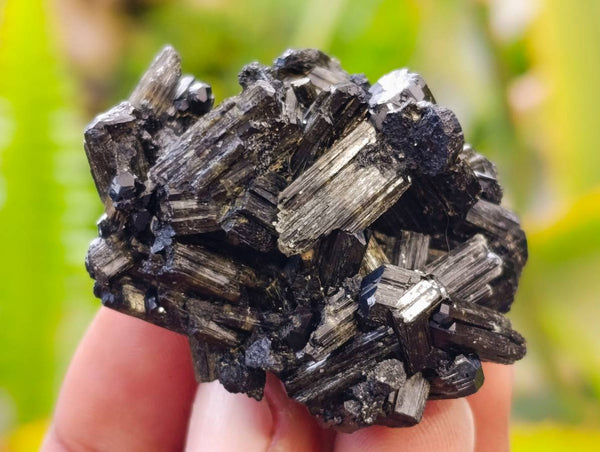 Natural Schorl Black Tourmaline Specimens x 12 From Erongo, Namibia