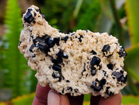 Natural Schorl Black Tourmaline Specimens x 12 From Erongo, Namibia