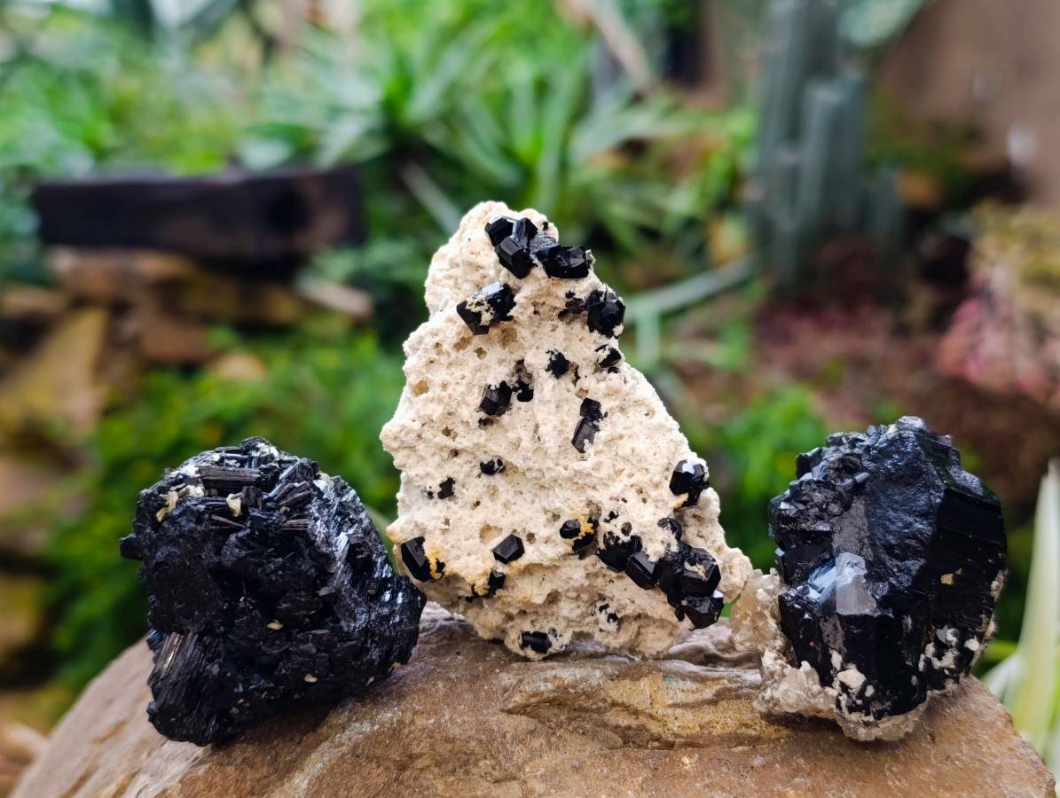 Natural Schorl Black Tourmaline Specimens x 12 From Erongo, Namibia - Toprock Gemstones and Minerals 