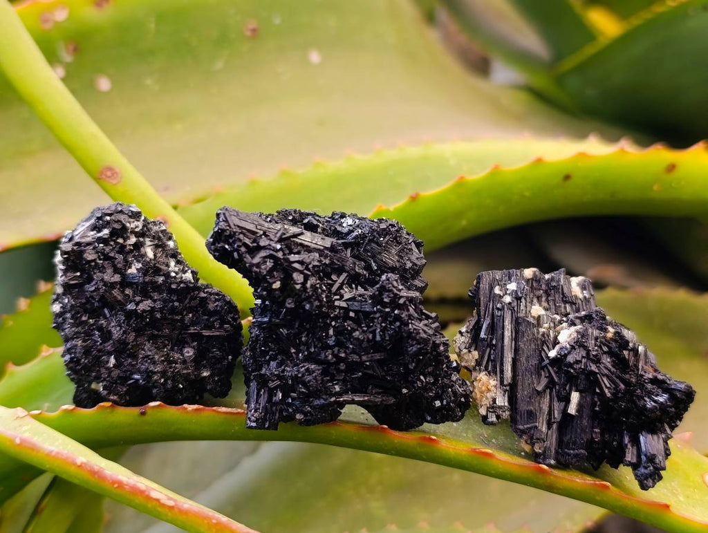 Natural Schorl Black Tourmaline Specimens x 12 From Erongo, Namibia - Toprock Gemstones and Minerals 