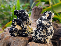 Natural Schorl Black Tourmaline Specimens x 12 From Erongo, Namibia