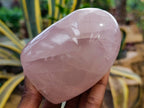 Polished Rose Quartz Standing Free Forms x 2 Madagascar - Toprock Gemstones and Minerals 