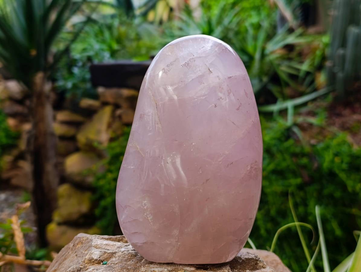 Polished Rose Quartz Standing Free Forms x 2 Madagascar - Toprock Gemstones and Minerals 